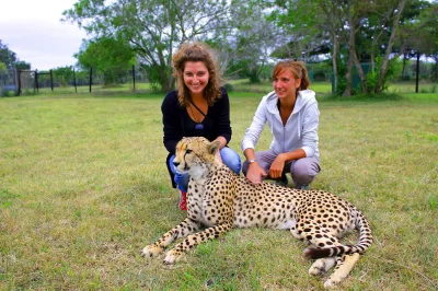 Safaris Durban-Emdoneni Wildcat Project Tour